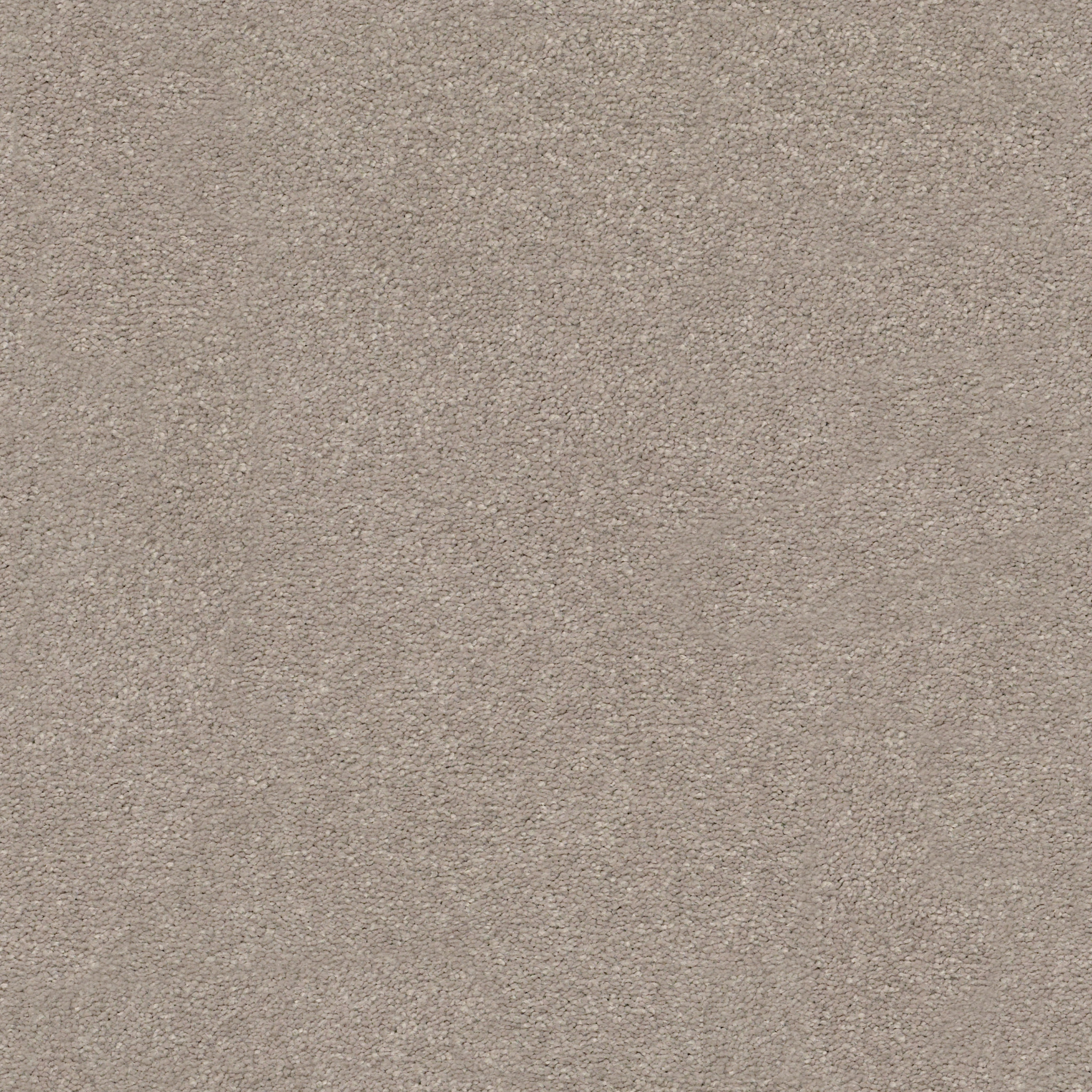 Shaw Floors - MONTAGE II by Shaw Floors - Parisian Lights