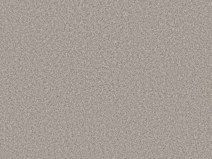 Shaw Floors - MONTAGE II by Shaw Floors - Painter's Canvas