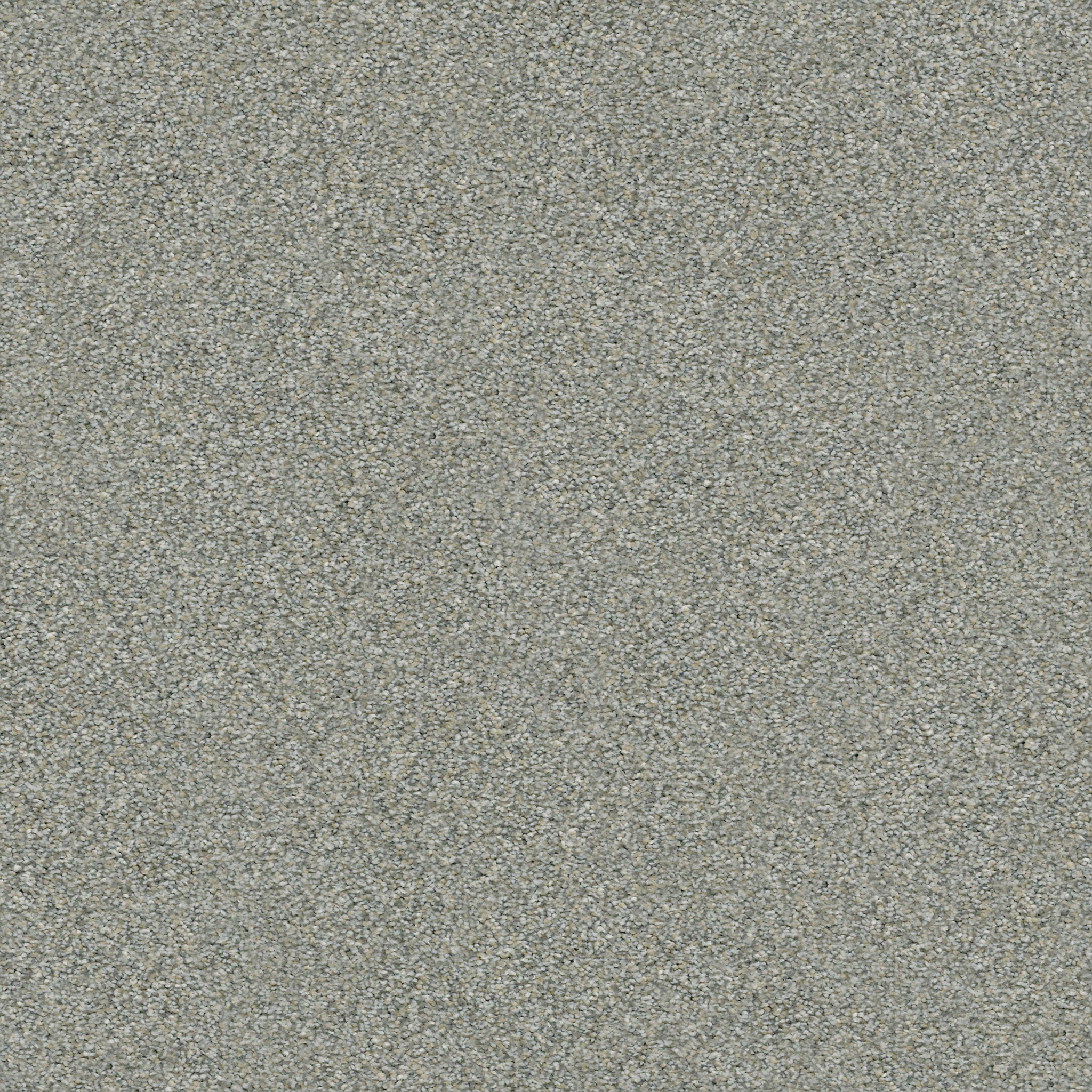Shaw Floors - MONTAGE II by Shaw Floors - Adobe