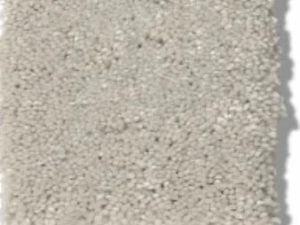 Shaw Floors - SOLIDIFY I 12' by Shaw Floors - Minimalist