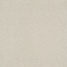 Shaw Floors - SOLIDIFY III 12' by Shaw Floors - Minimalist