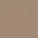 Shaw Floors - SOLIDIFY III 12' by Shaw Floors - Raw Lumber