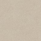 Shaw Floors - SOLIDIFY III 15' by Shaw Floors - Bleached