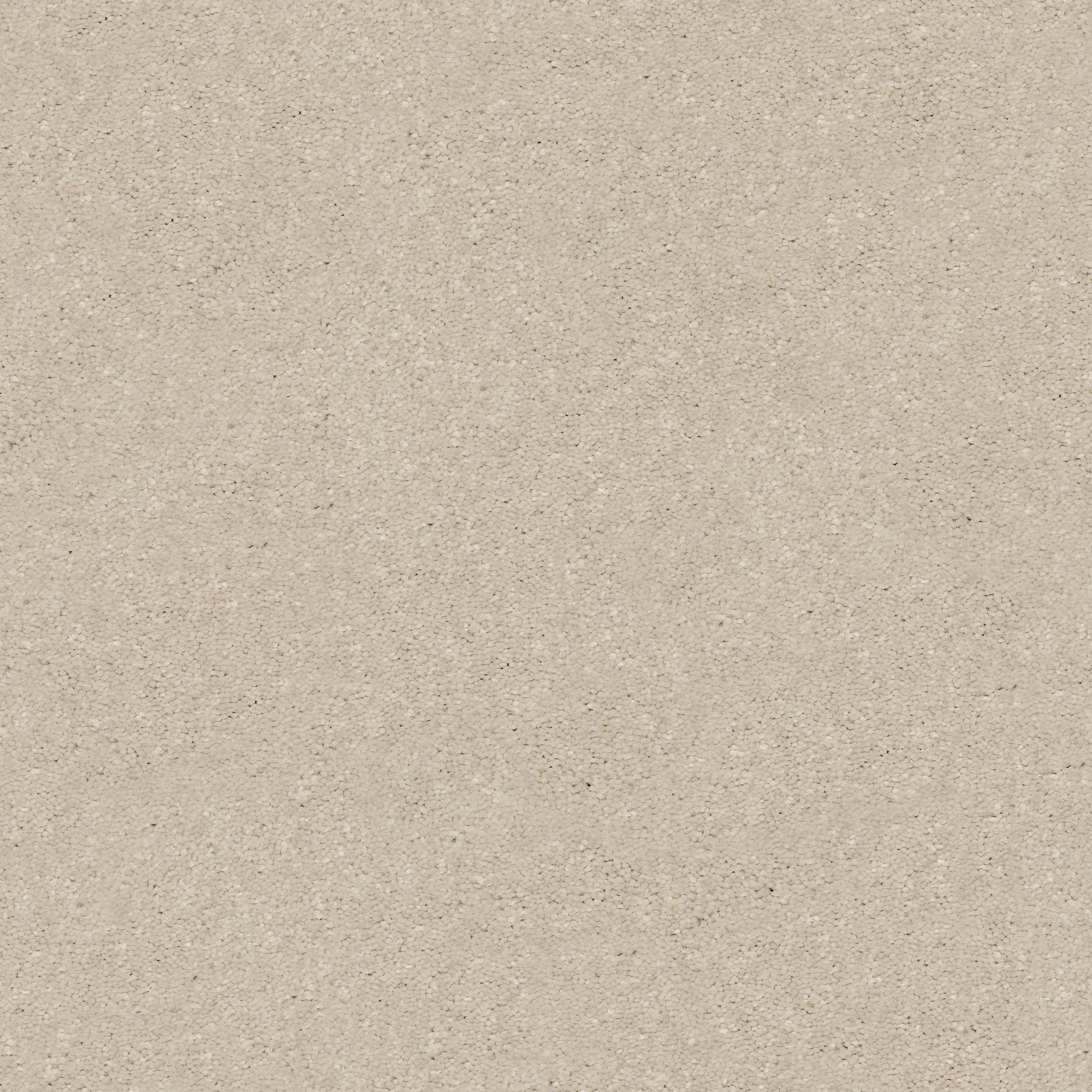 Shaw Floors - SOLIDIFY III 15' by Shaw Floors - Bleached