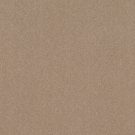 Shaw Floors - SOLIDIFY III 15' by Shaw Floors - Raw Lumber