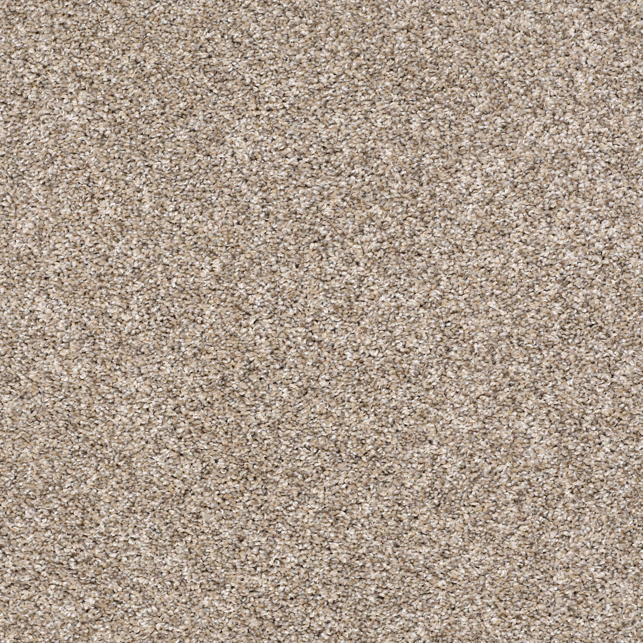 Shaw Floors - AFTER IT II by Shaw Floors - Neutral Ground