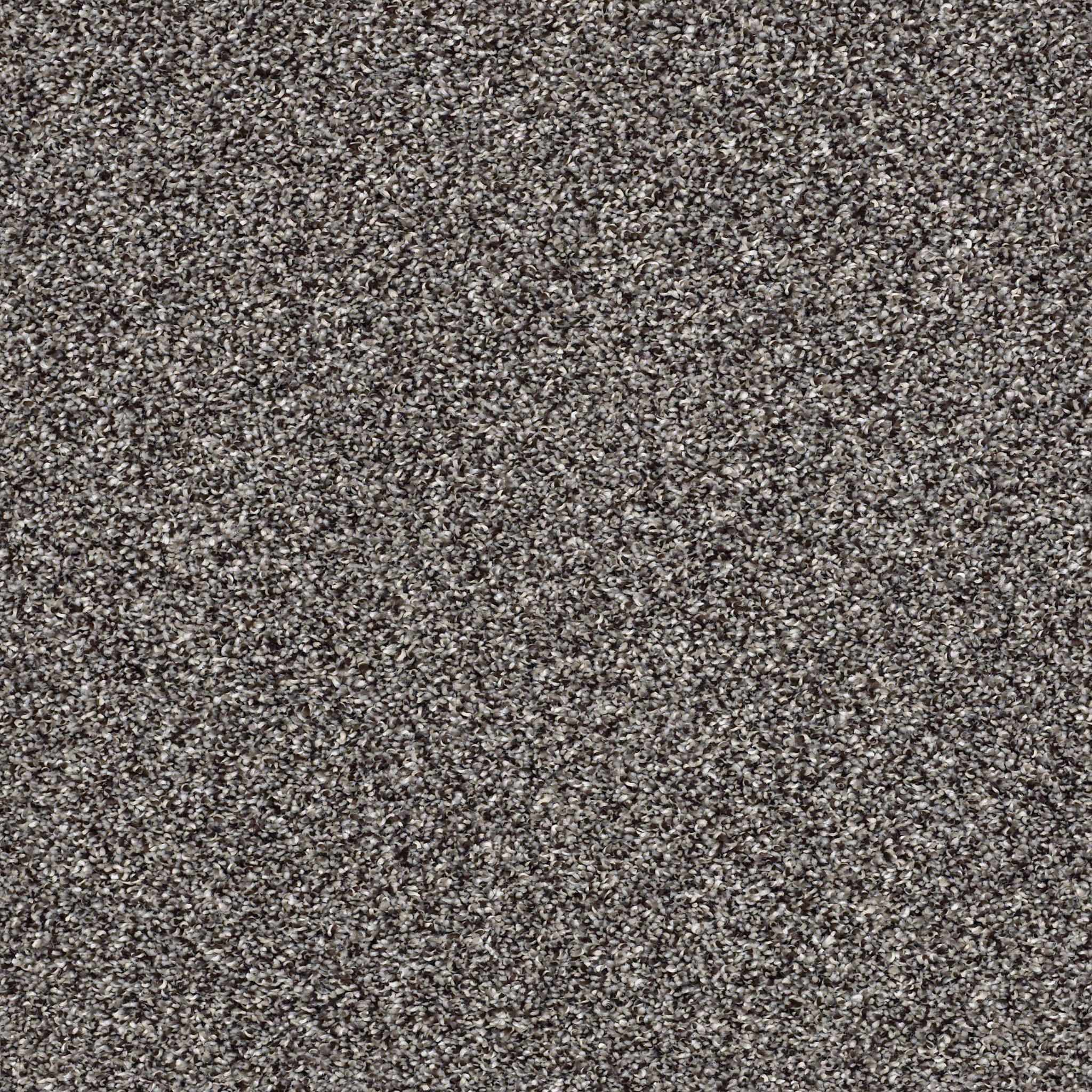Shaw Floors - AFTER IT II by Shaw Floors - Anchor