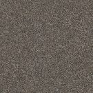 Shaw Floors - WITHIN REACH I by Shaw Floors - Beige Bisque