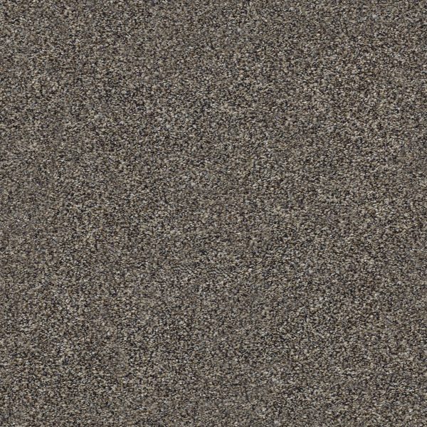 Shaw Floors - WITHIN REACH II by Shaw Floors - Beige Bisque