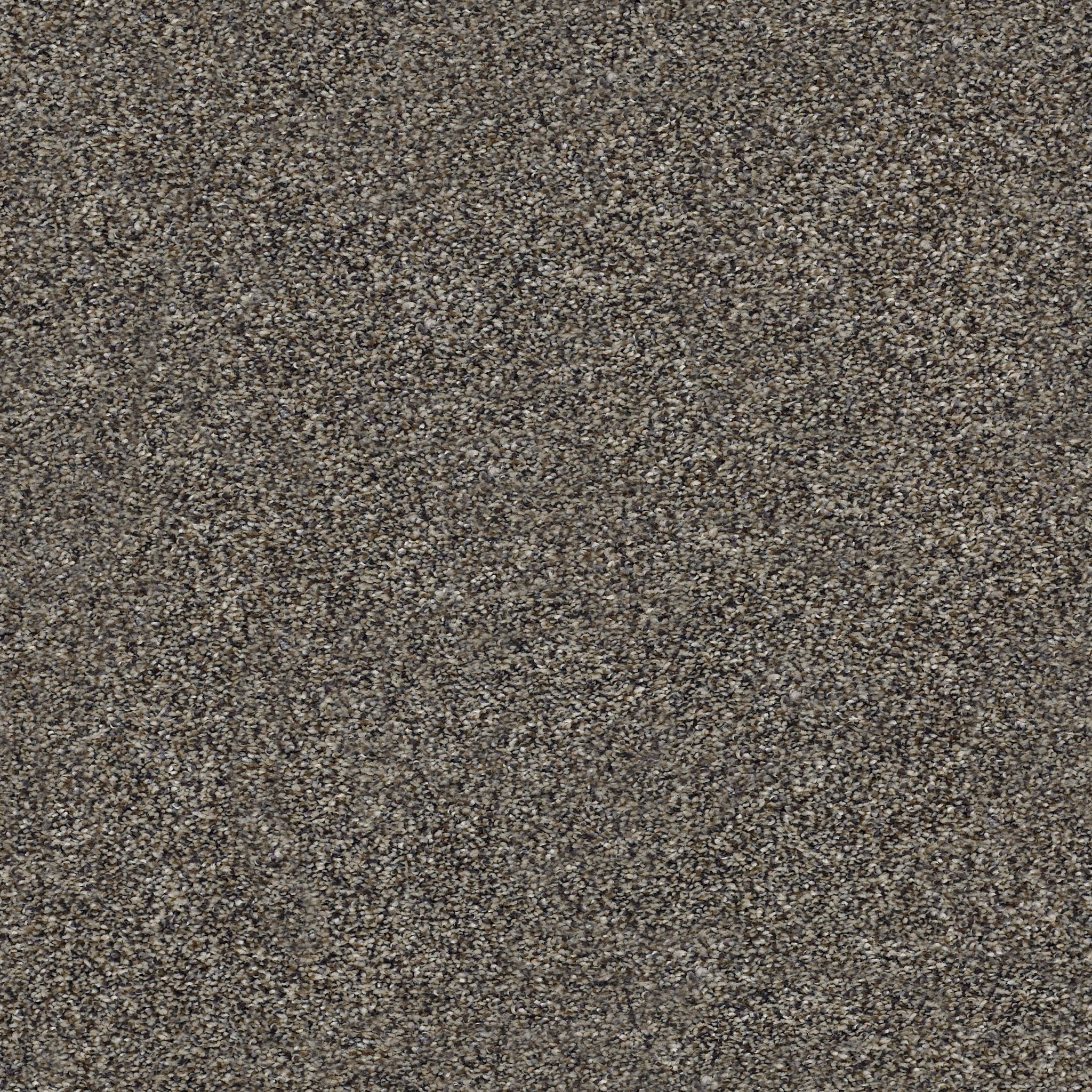 Shaw Floors - WITHIN REACH II by Shaw Floors - Beige Bisque