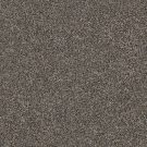 Shaw Floors - WITHIN REACH III by Shaw Floors - Beige Bisque