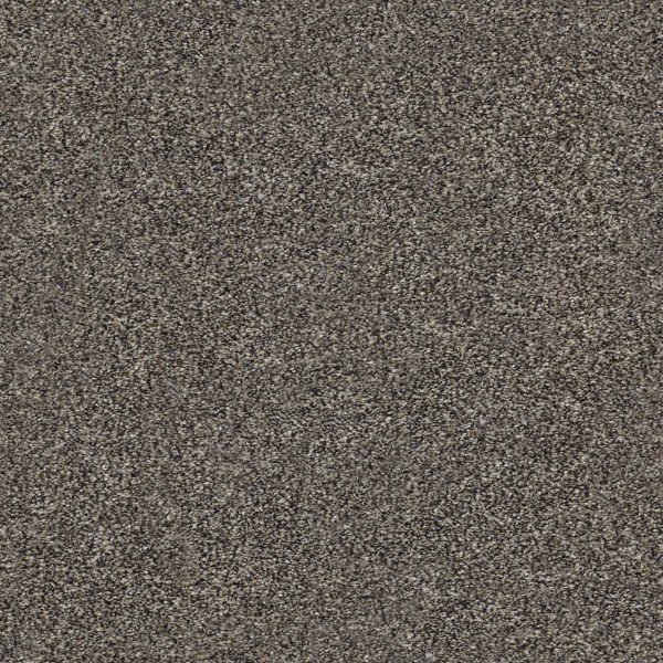 Shaw Floors - WITHIN REACH III by Shaw Floors - Beige Bisque