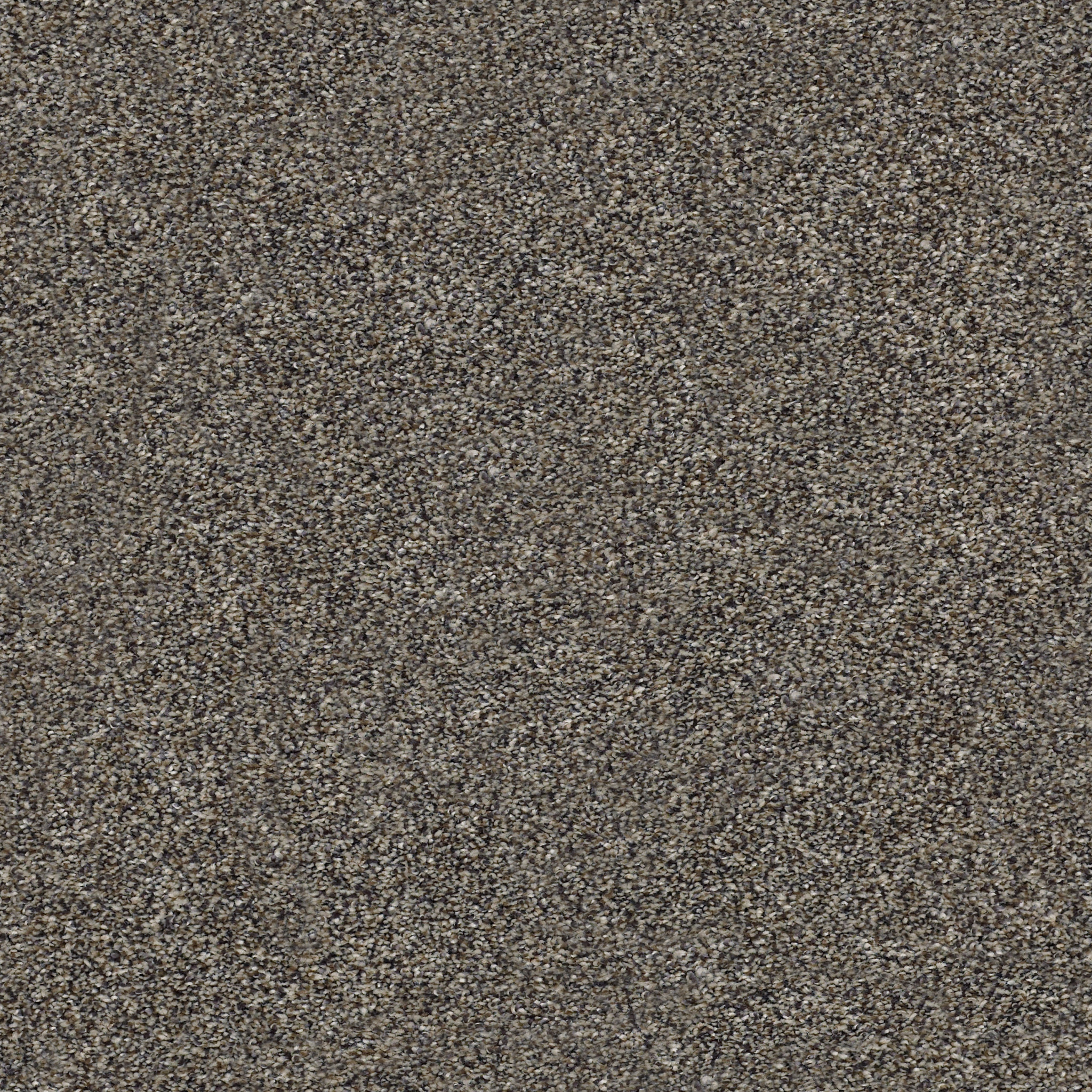 Shaw Floors - WITHIN REACH III by Shaw Floors - Beige Bisque