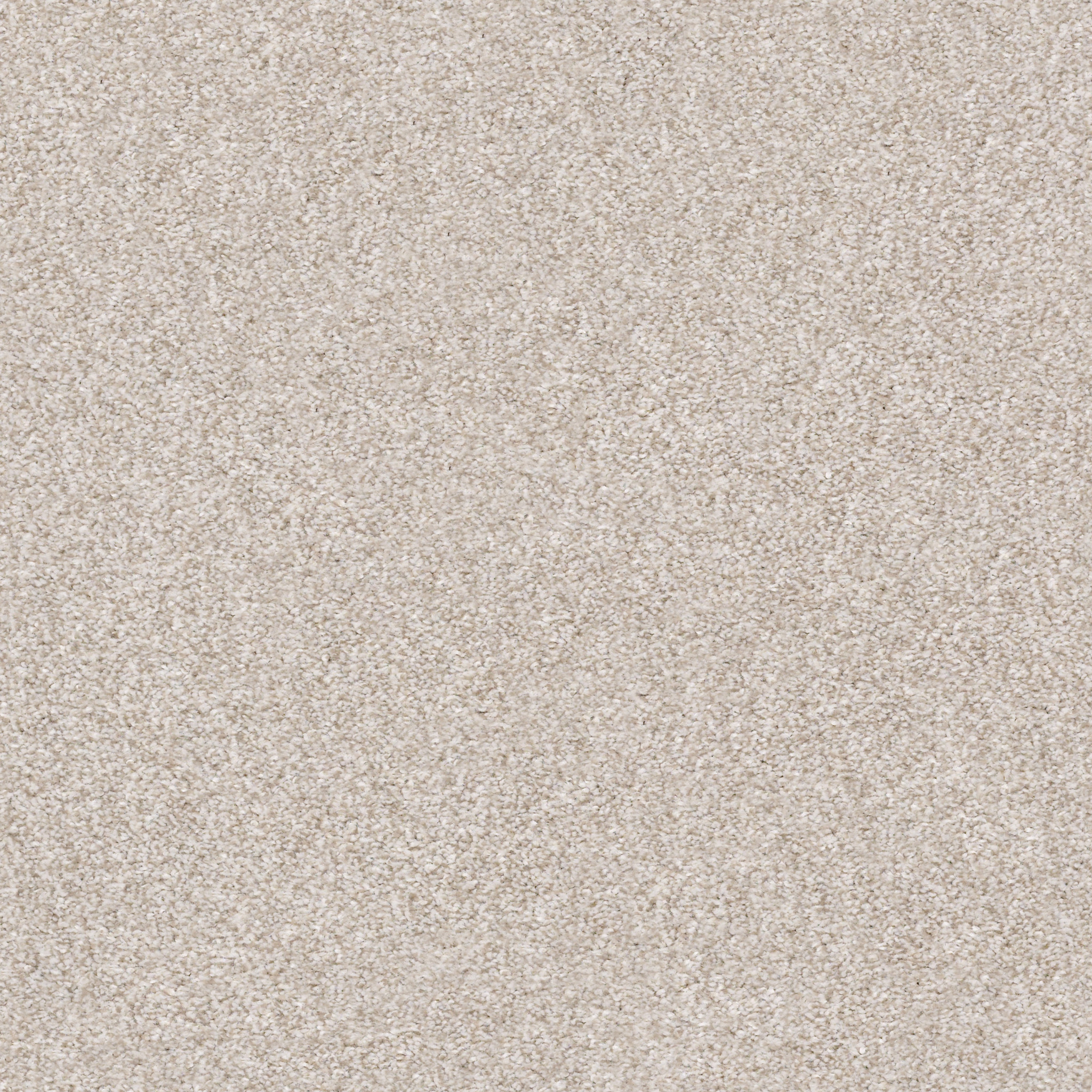 Shaw Floors - MAKE IT MINE II by Shaw Floors - Desert Light