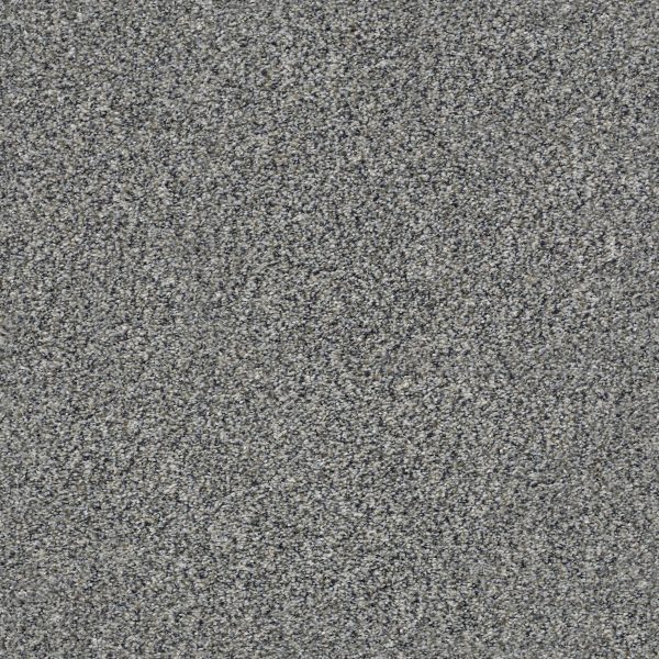 Shaw Floors - WITHIN REACH I by Shaw Floors - Shoreline