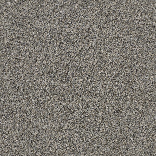 Shaw Floors - WITHIN REACH I by Shaw Floors - Kidskin