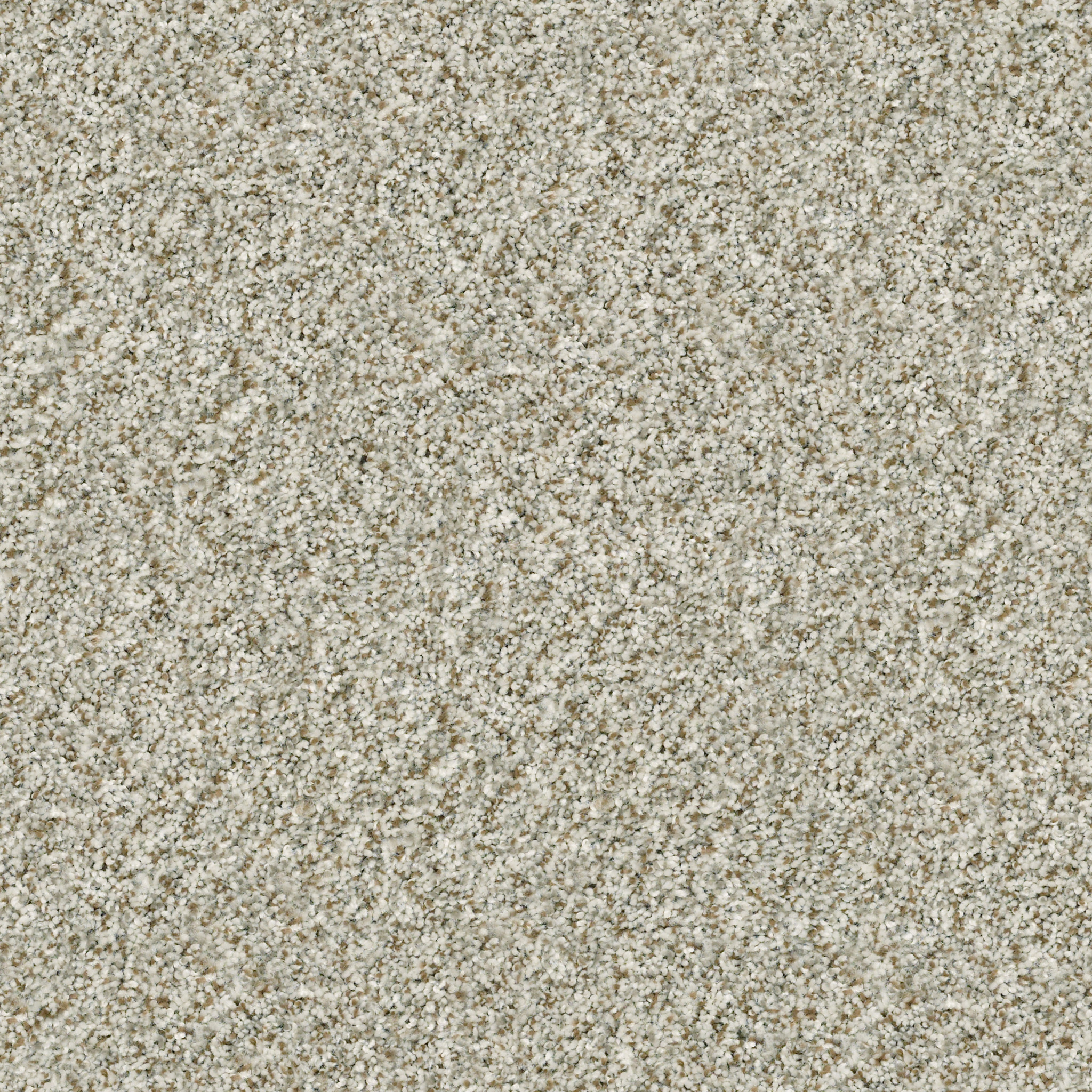 Shaw Floors - CABANA LIFE (B) by Shaw Floors - Seashell