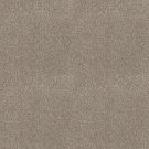 Shaw Floors - CABANA LIFE (B) by Shaw Floors - Beach House