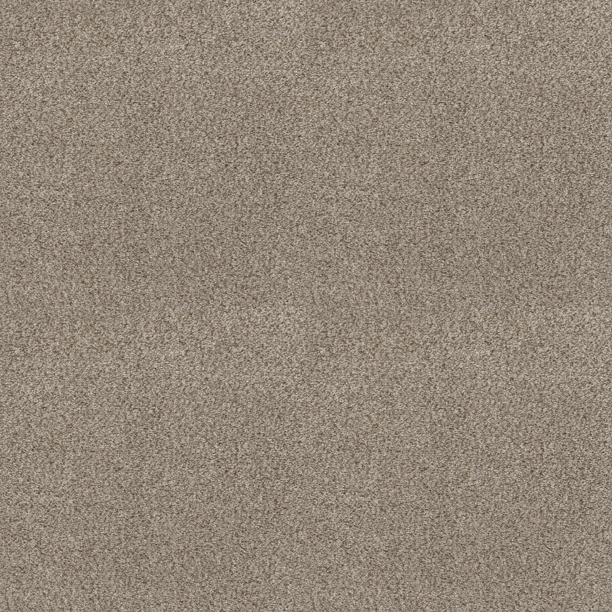 Shaw Floors - CABANA LIFE (B) by Shaw Floors - Beach House