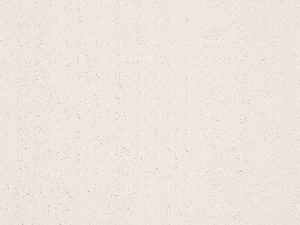 Shaw Floors - ESSENTIAL NOW by Shaw Floors - Serene Still