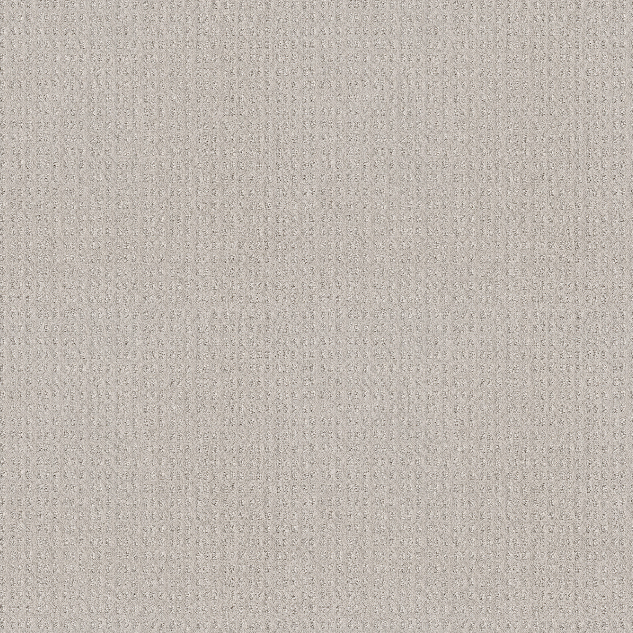 Shaw Floors - ESSENTIAL NOW by Shaw Floors - Winters Dawn