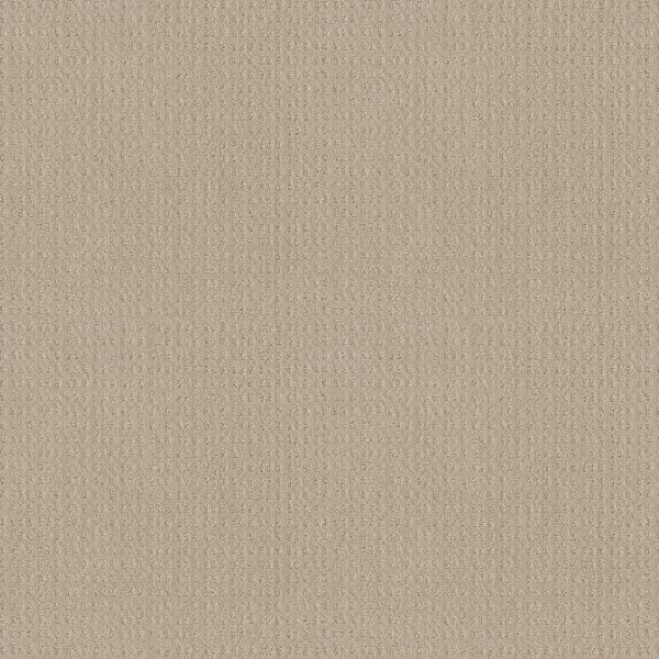 Shaw Floors - ESSENTIAL NOW by Shaw Floors - Butter Cream