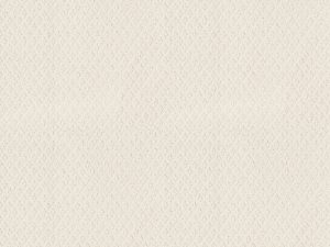 Shaw Floors - FORMALIZE by Shaw Floors - Serene Still