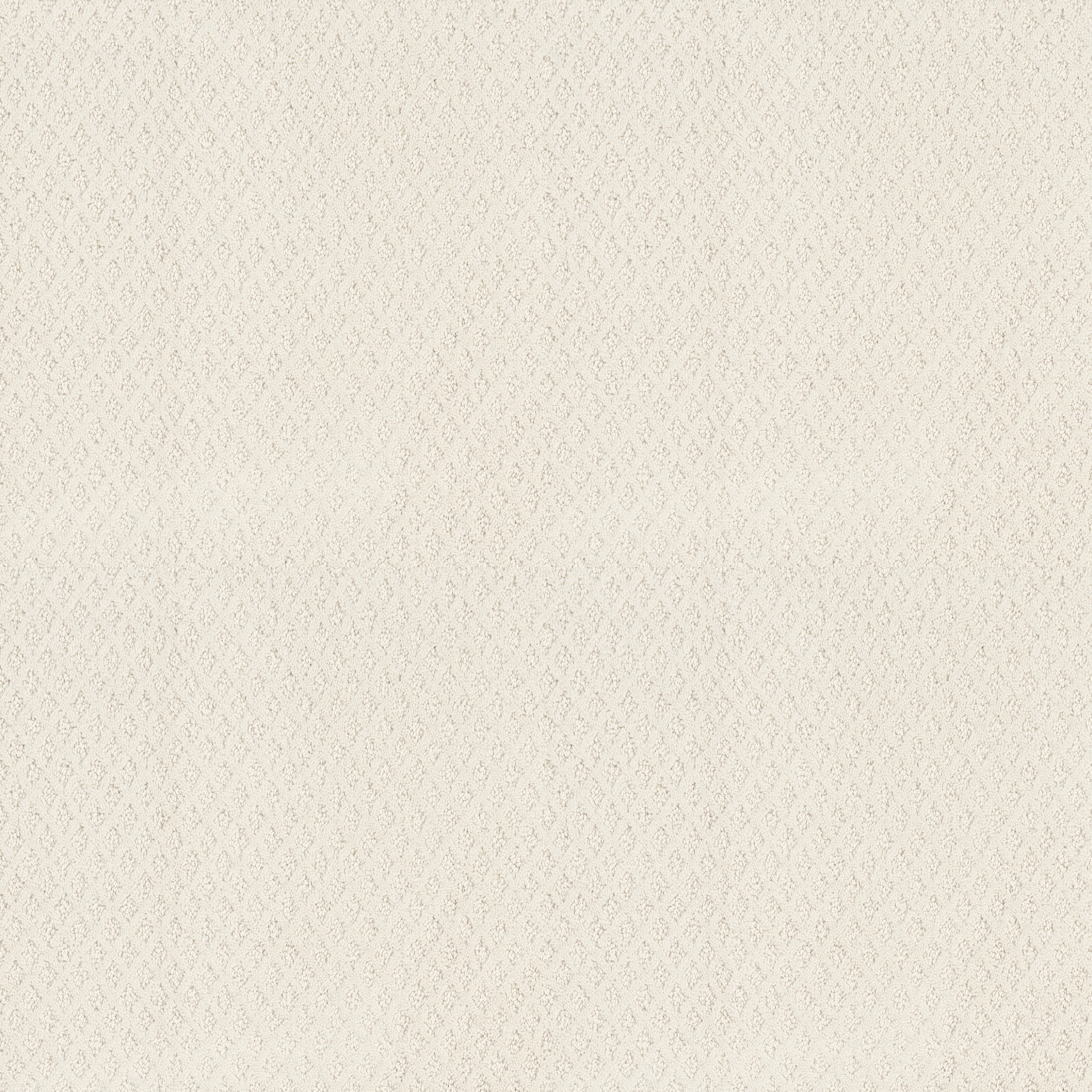 Rug Product Image