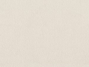 Shaw Floors - MAINSTAY by Shaw Floors - Serene Still