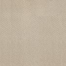 Shaw Floors - MAINSTAY by Shaw Floors - Butter Cream