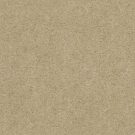 Shaw Floors - HEROIC by Shaw Floors - Spanish Sand