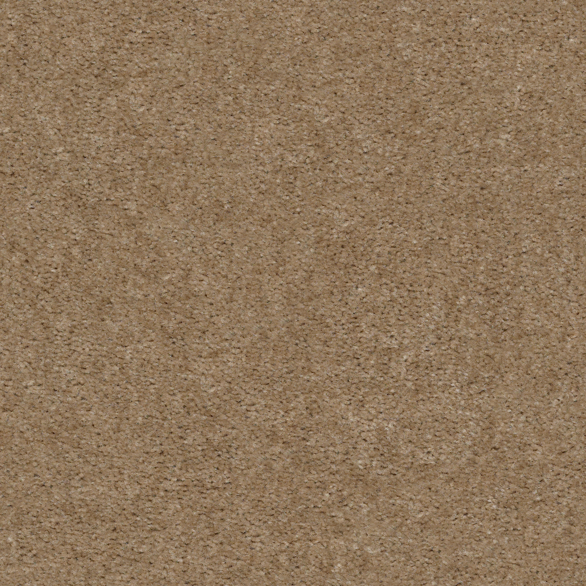 Shaw Floors - HEROIC by Shaw Floors - Clay