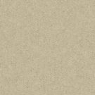 Shaw Floors - HEROIC by Shaw Floors - Coconut Twist