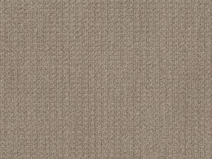Shaw Floors - STAY FIT by Shaw Floors - French Linen
