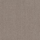 Shaw Floors - STAY FIT by Shaw Floors - Mesa