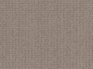 Shaw Floors - STAY FIT by Shaw Floors - Mesa