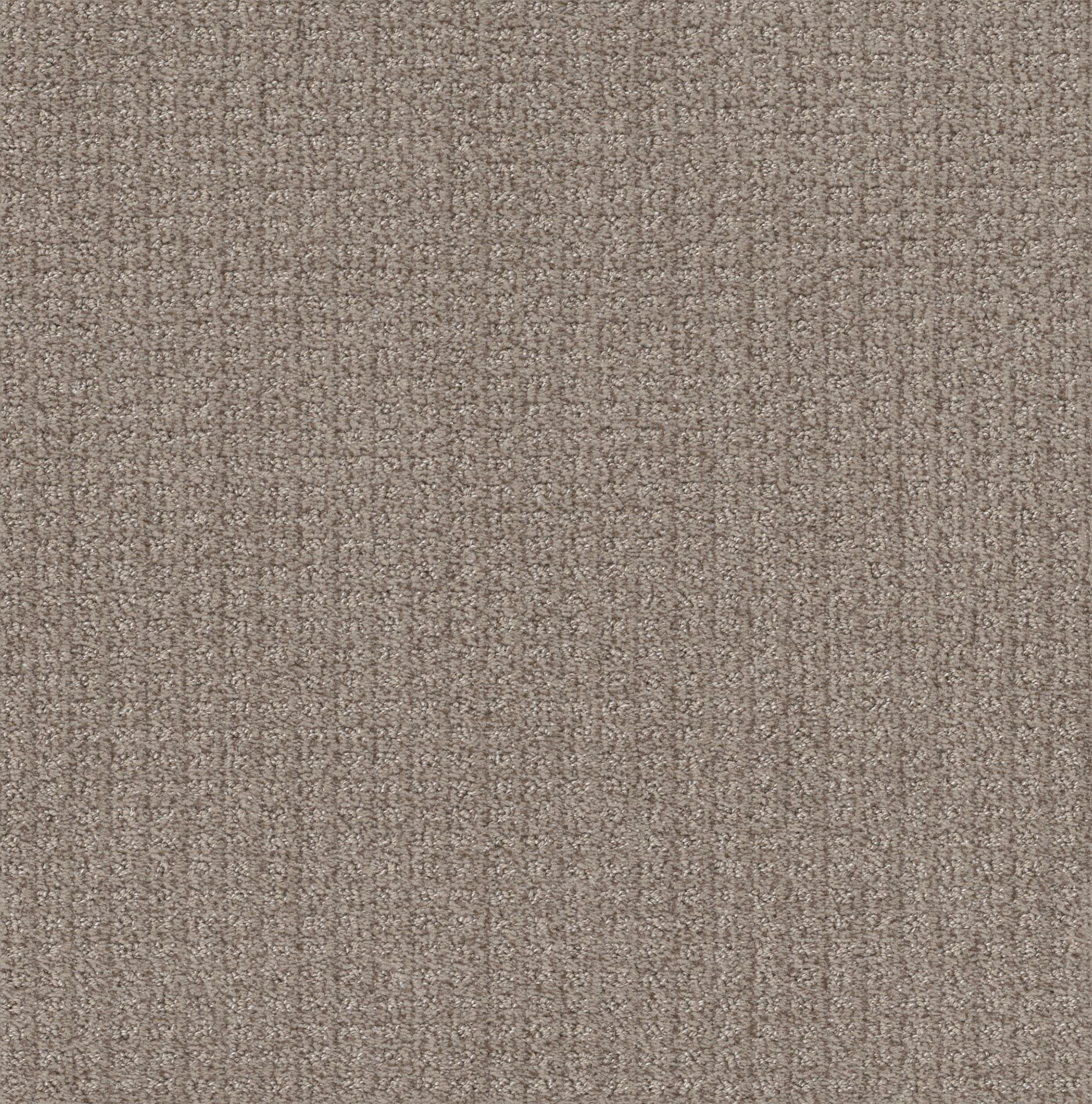 Shaw Floors - STAY FIT by Shaw Floors - Mesa