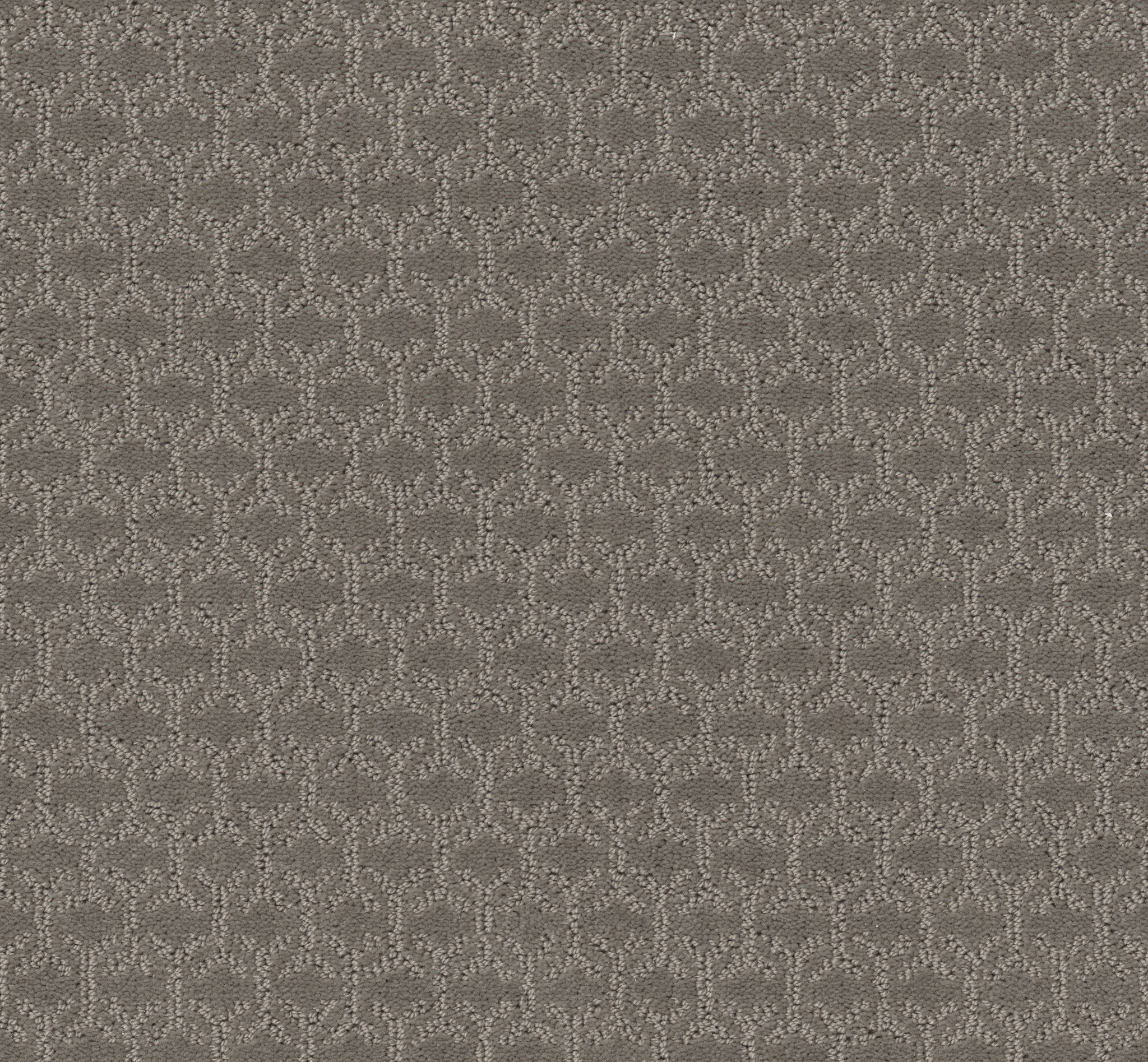 Shaw Floors - VALID by Shaw Floors - Iced Mocha