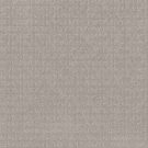 Shaw Floors - VASTLY by Shaw Floors - Mist