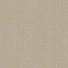 Shaw Floors - TRANSFORM by Shaw Floors - Biscuit