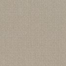 Shaw Floors - TRANSFORM by Shaw Floors - Oatmeal