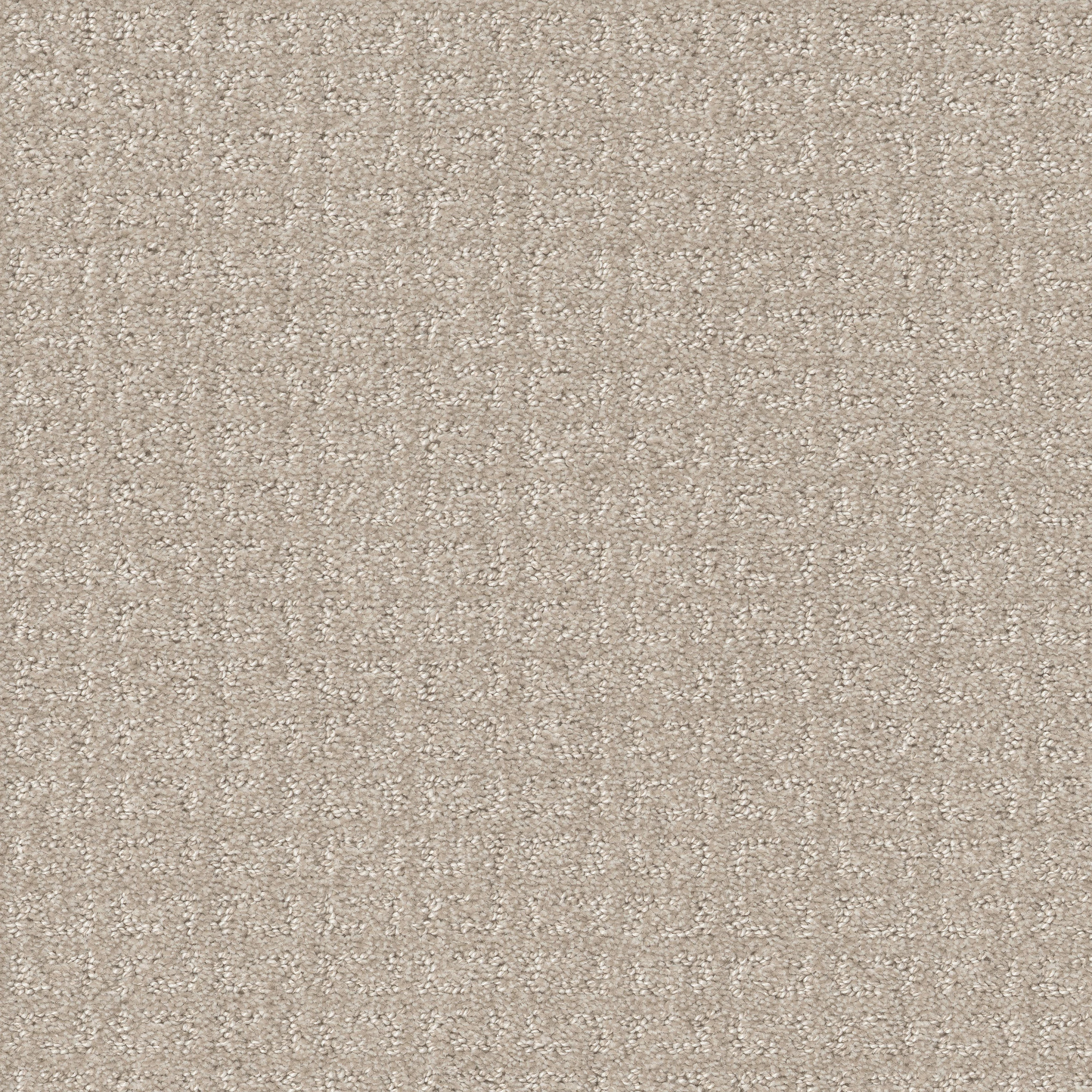 Shaw Floors - TRANSFORM by Shaw Floors - Sand Swept