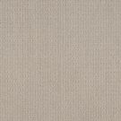 Shaw Floors - TRANSLATE by Shaw Floors - Oatmeal