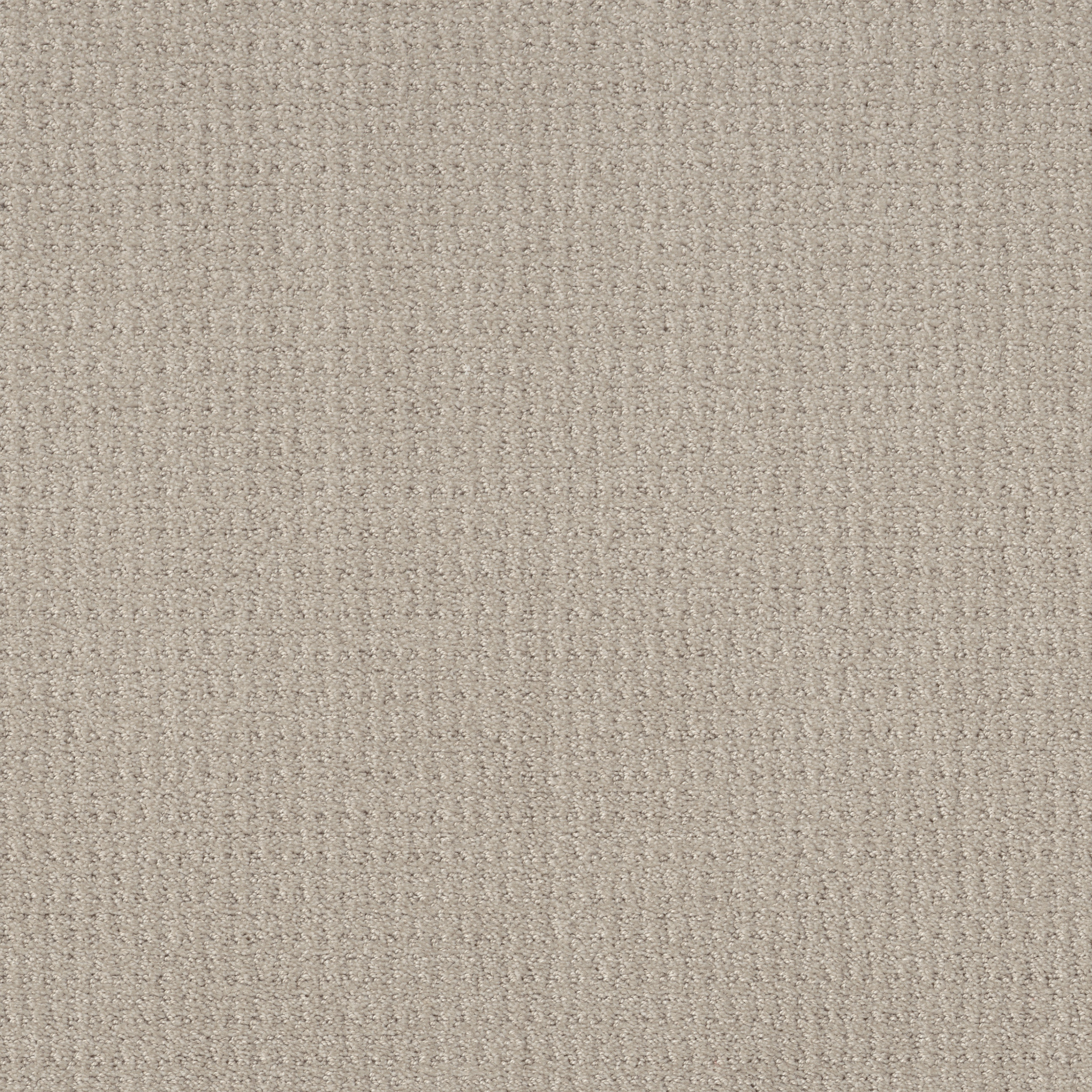 Shaw Floors - TRANSLATE by Shaw Floors - Oatmeal