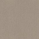 Shaw Floors - TRANSLATE by Shaw Floors - Sand Swept