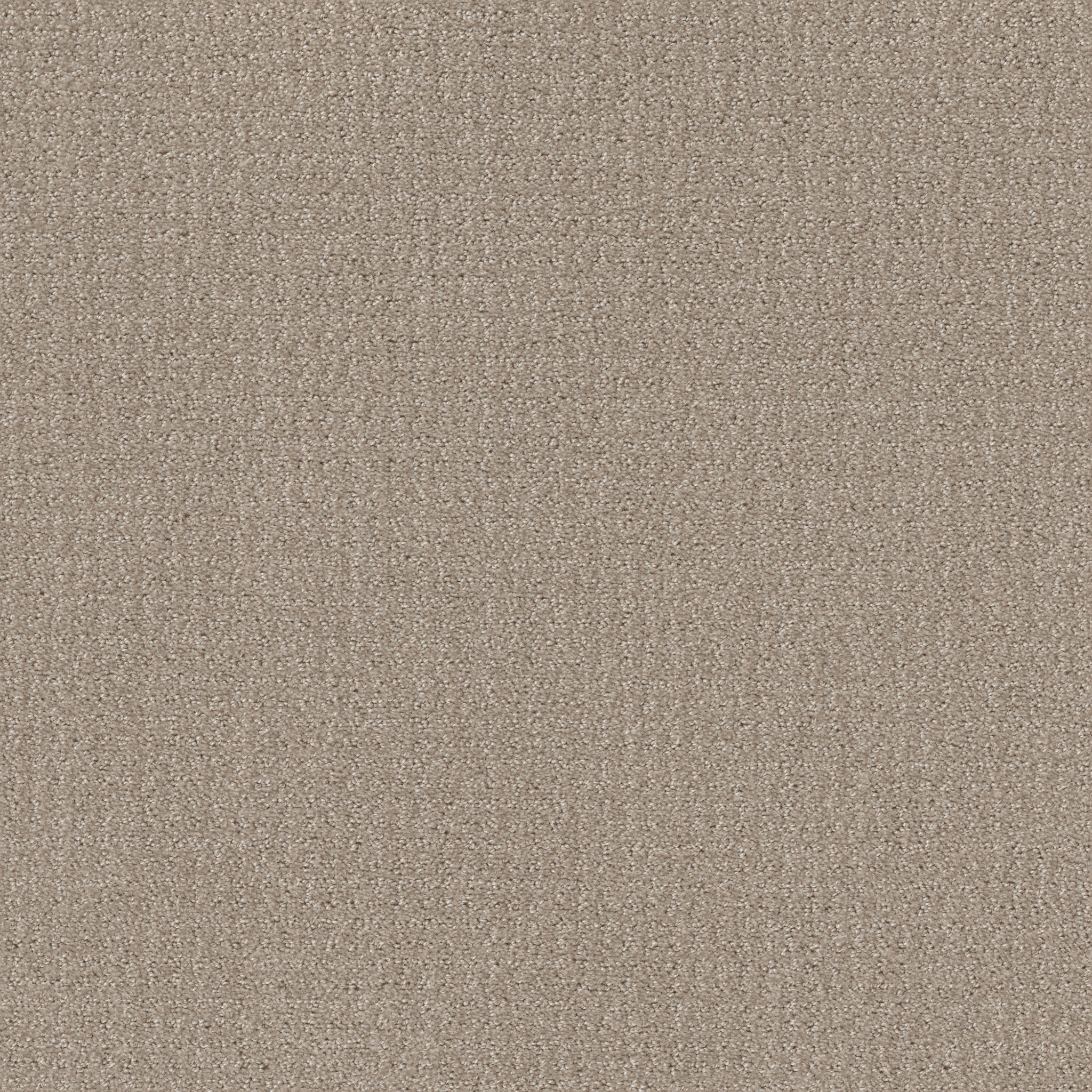 Shaw Floors - TRANSLATE by Shaw Floors - Sand Swept