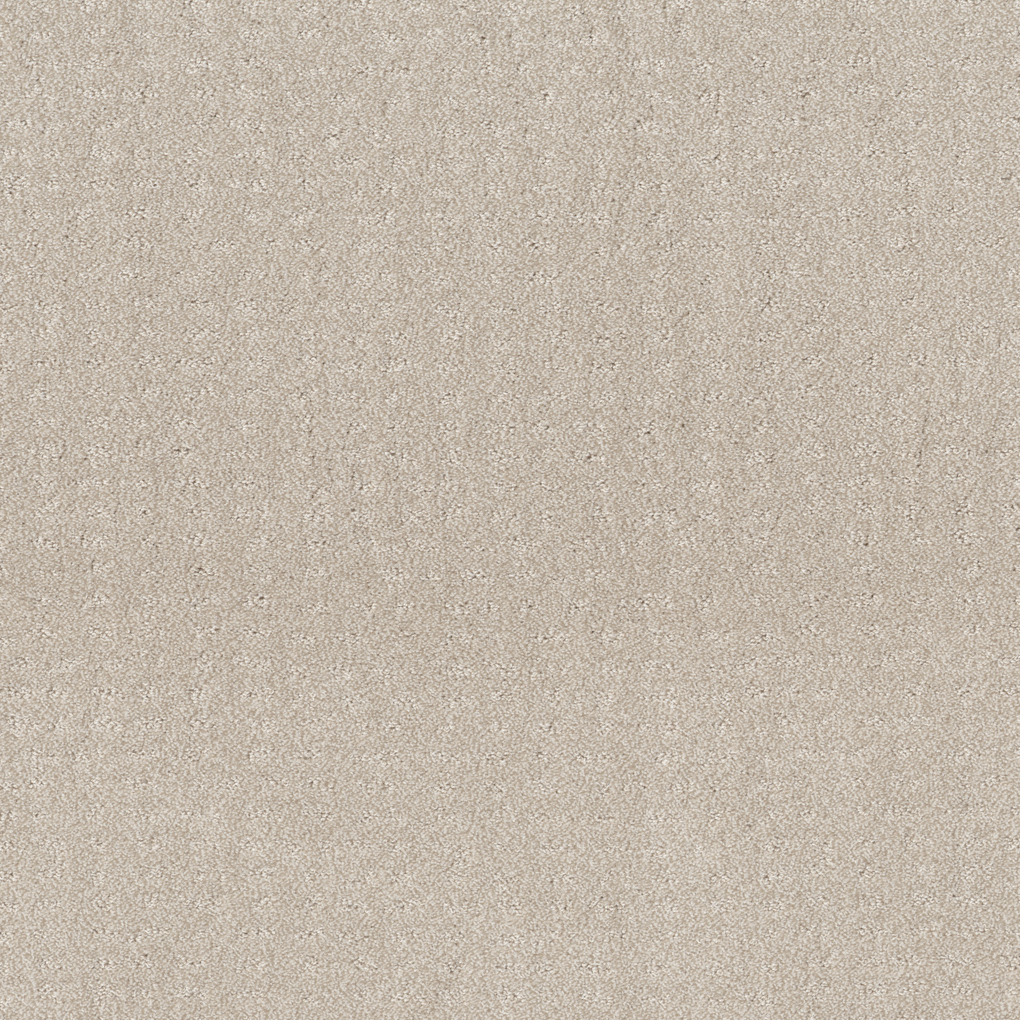 Rug Product Image