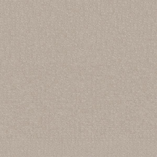Shaw Floors - CHIC NUANCE by Shaw Floors - Washed Linen