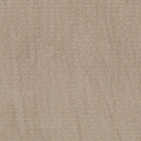 Shaw Floors - CHIC NUANCE by Shaw Floors - Butter Cream
