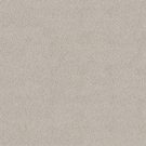 Shaw Floors - CHIC SHADES by Shaw Floors - Winters Dawn